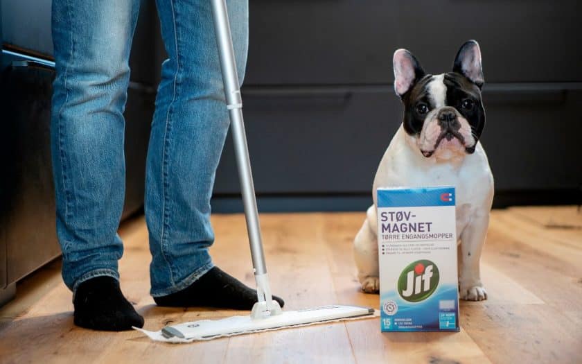 Rengjøring etter kjæledyr med Jif Støvmagnet. FOTO